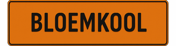 Funplaat (11 tekens)